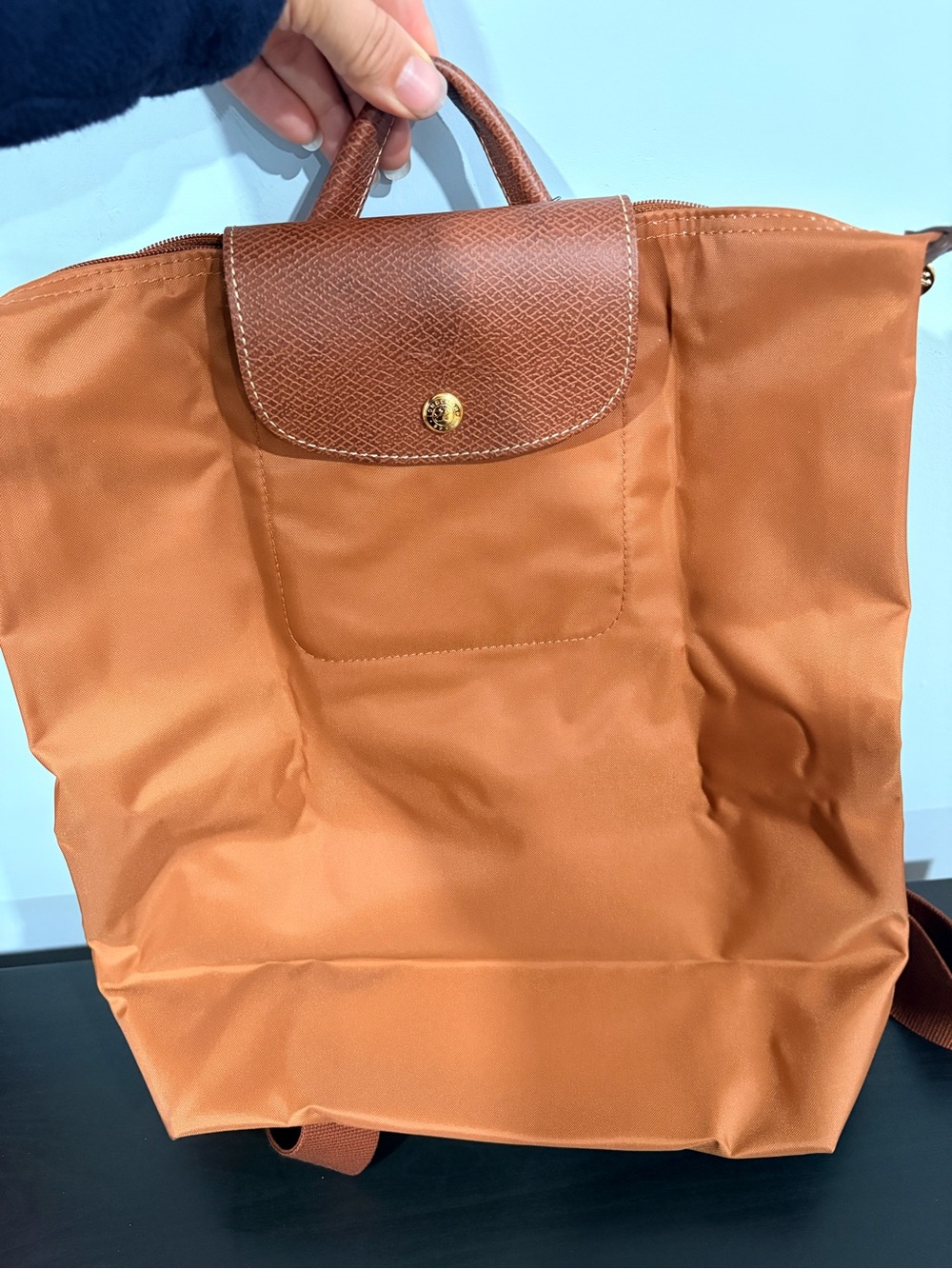 Longchamp Le Pliage Backpack Médium | cogna